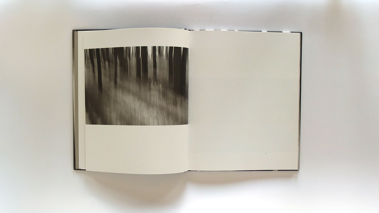 Fotobuch treemotion von Annabell Stübe Innenseiten