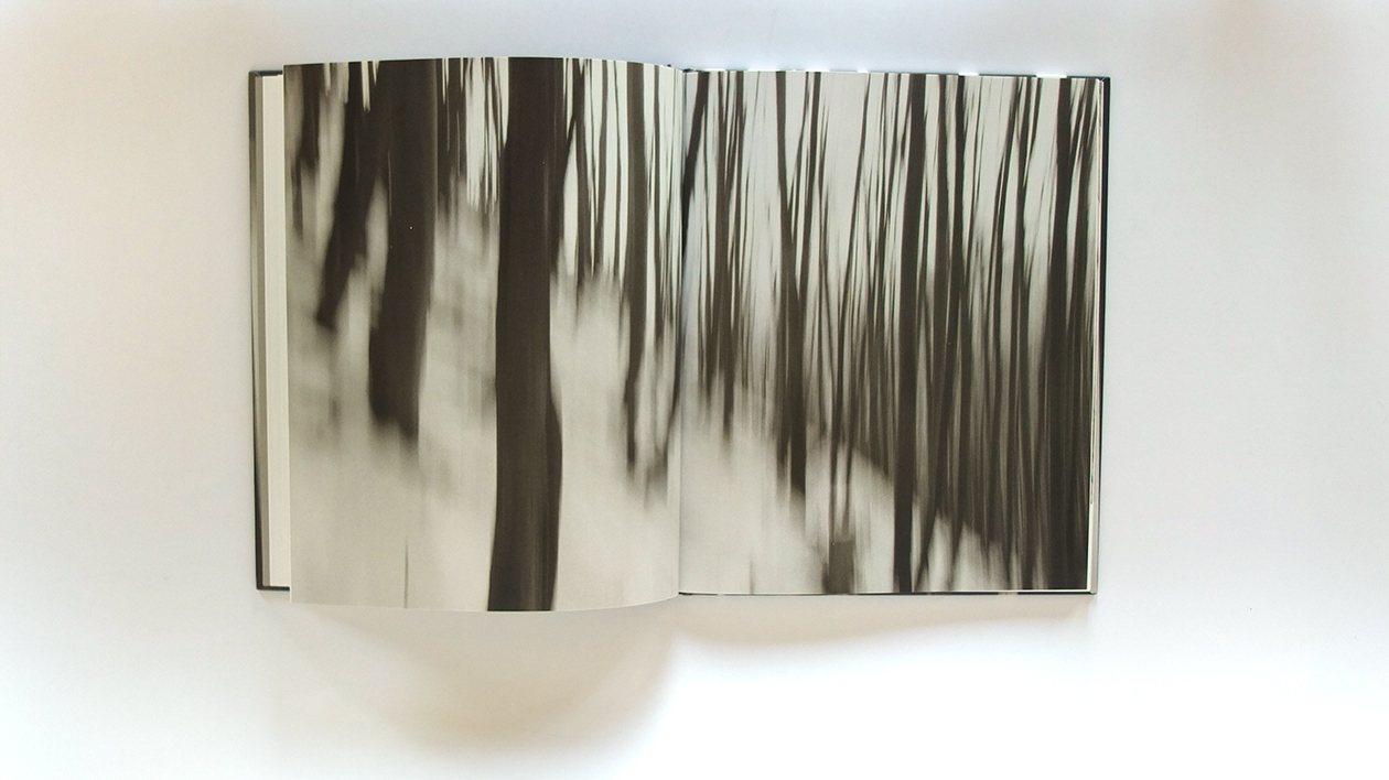 Fotobuch treemotion von Annabell Stübe Innenseiten