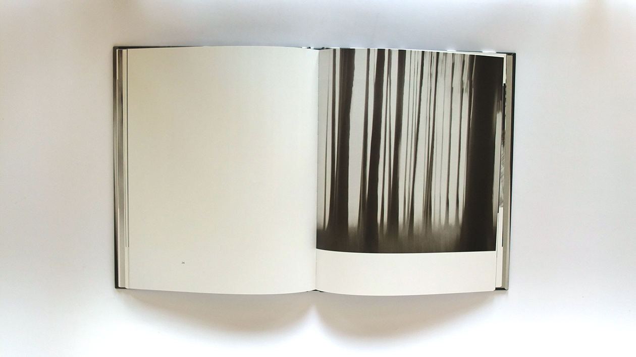 Fotobuch treemotion von Annabell Stübe Innenseiten