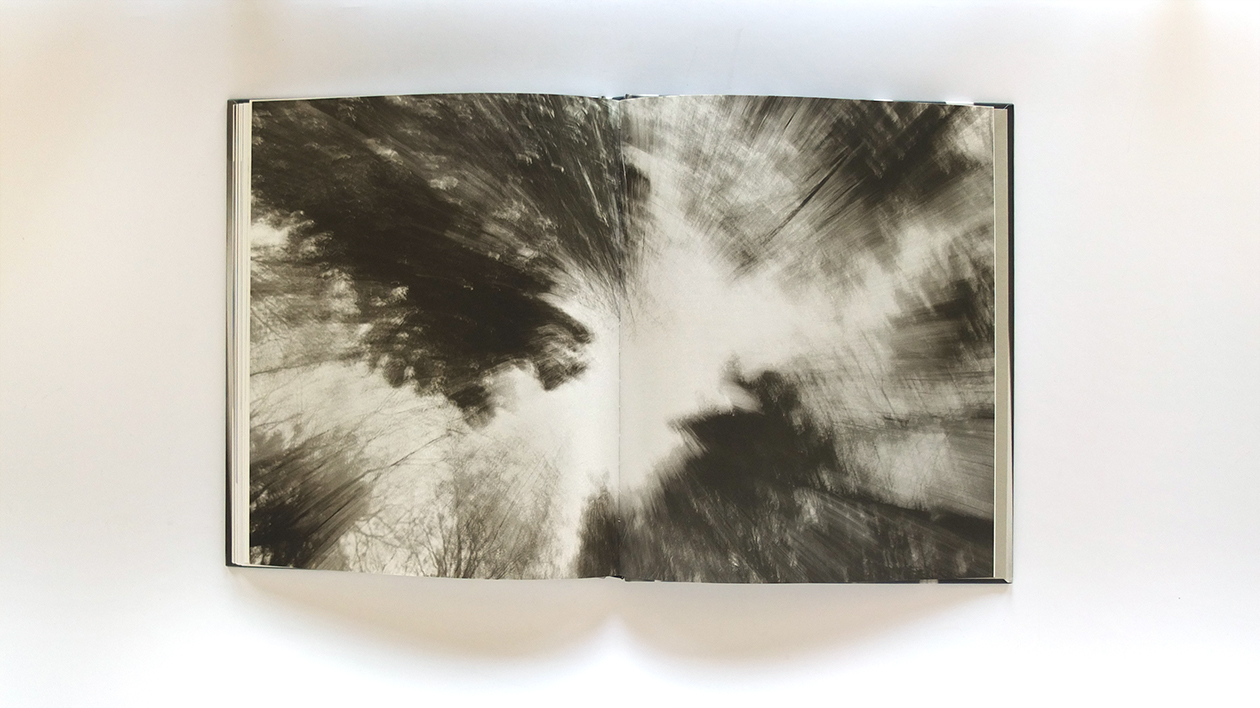 Fotobuch treemotion von Annabell Stübe Innenseiten