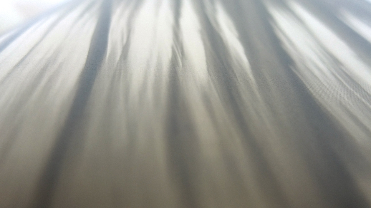 Fotobuch treemotion von Annabell Stübe Innenseiten